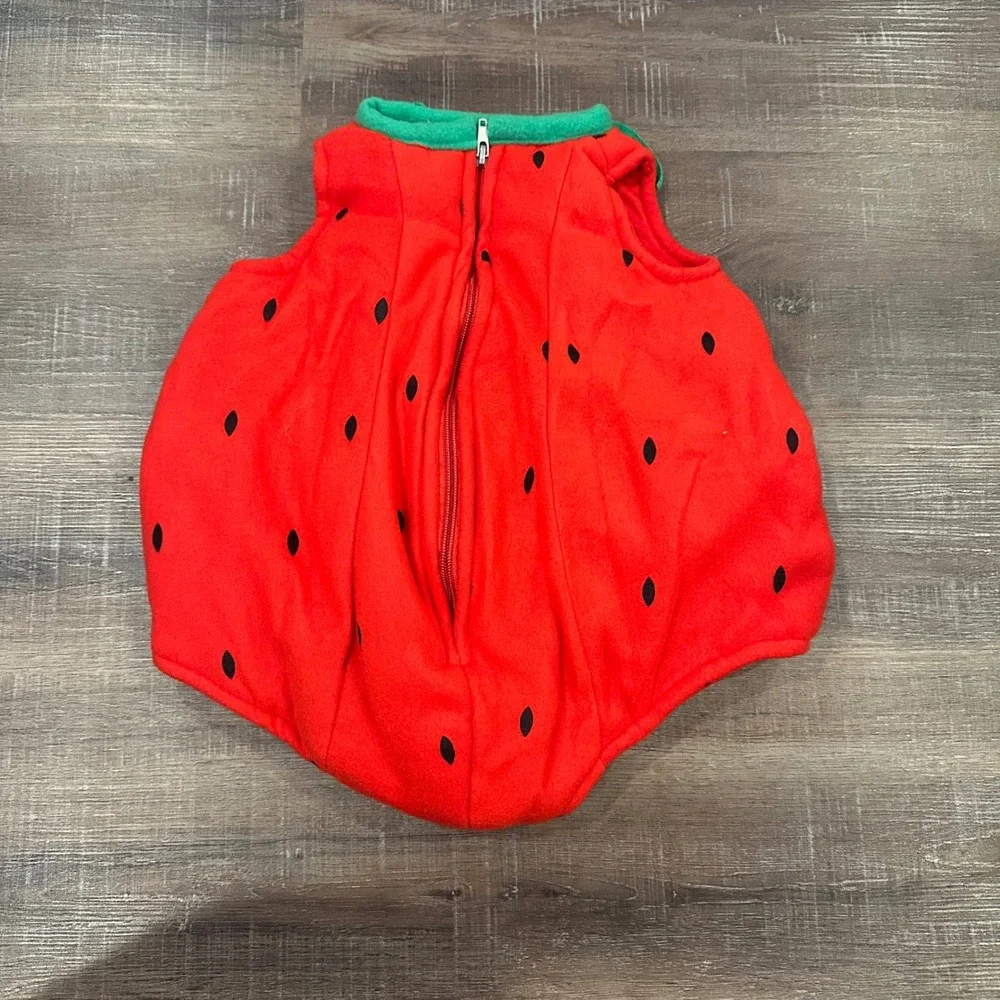 Dress‎ Up America Baby Strawberry Costume Romper Red Green 6-12 Months Halloween